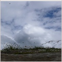 frank denyer - music for shakuhachi