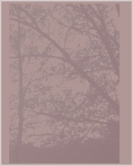 dying sun