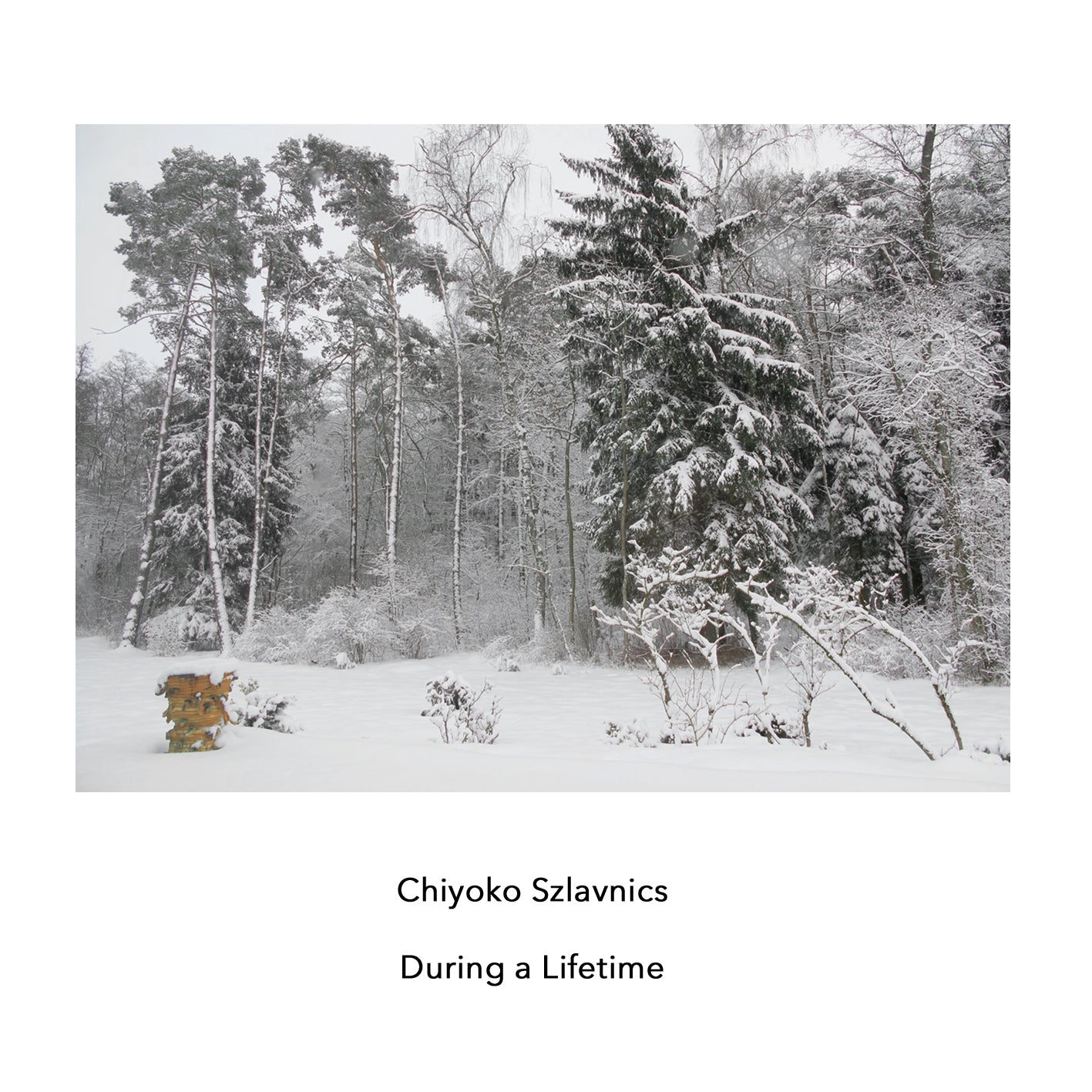 Chiyoko Szlavnics