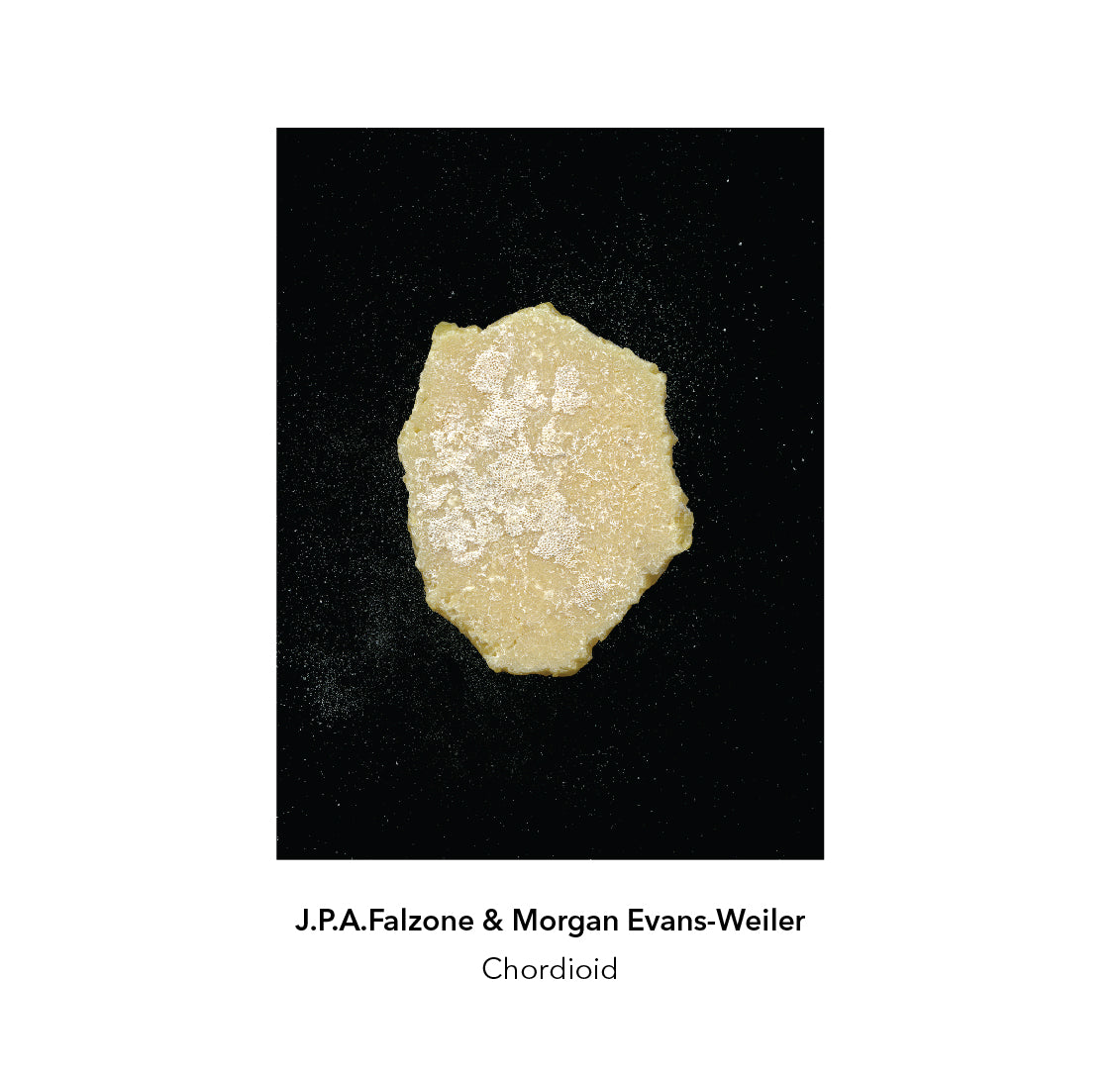 J.P.A. Falzone & Morgan Evans-Weiler