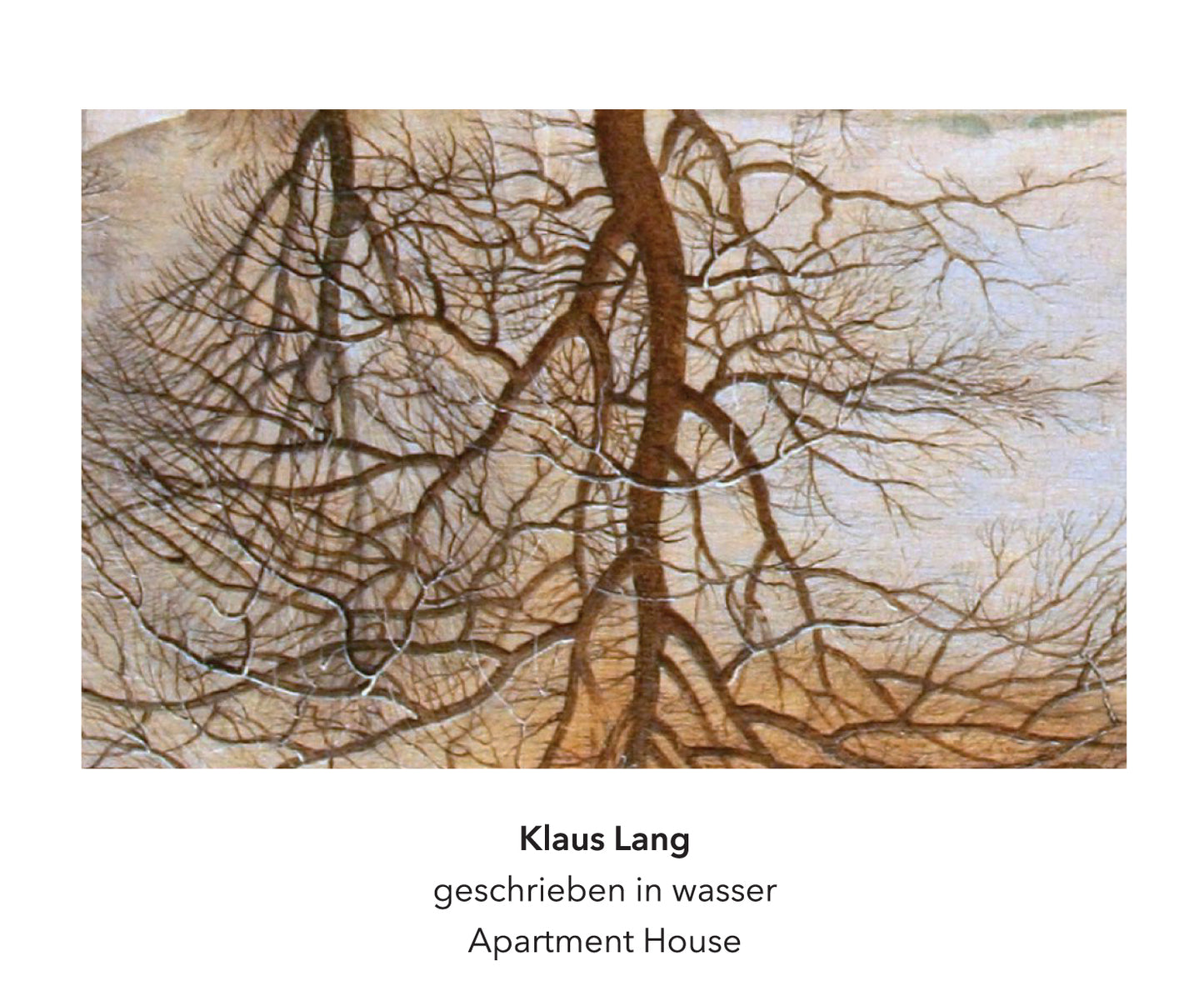 Klaus Lang