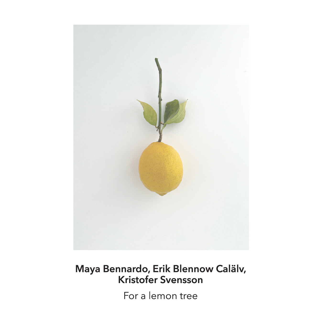 For a Lemon Tree