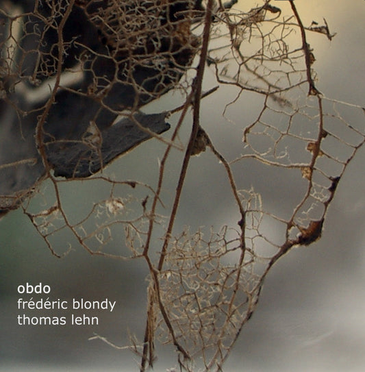 Frédéric Blondy, Thomas Lehn