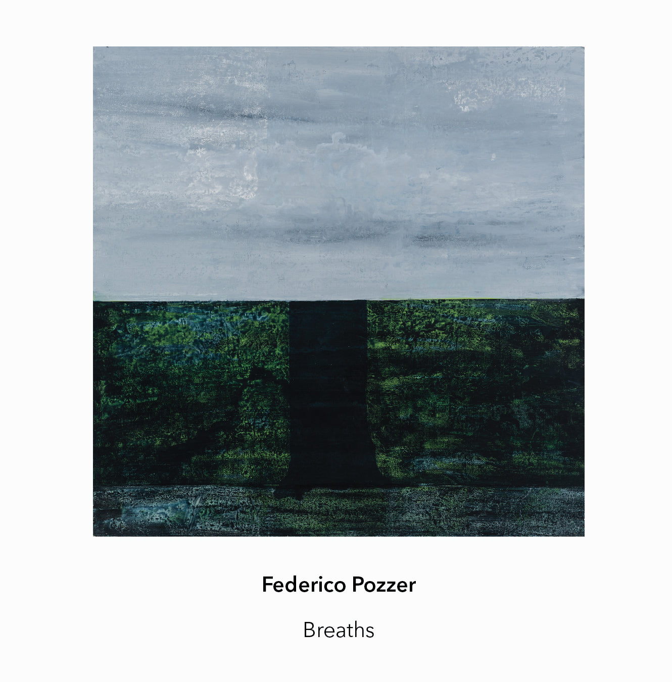 Federico Pozzer