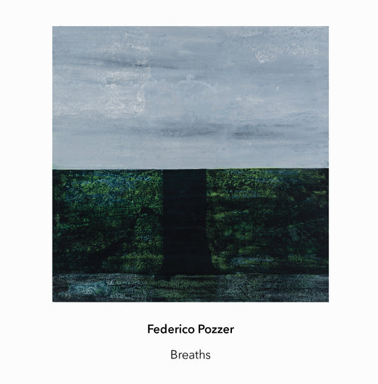 Federico Pozzer
