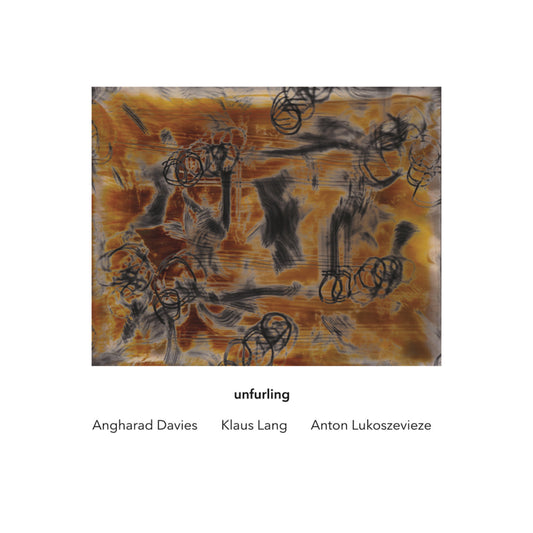 Angharad Davies | Klaus Lang | Anton Lukoszevieze