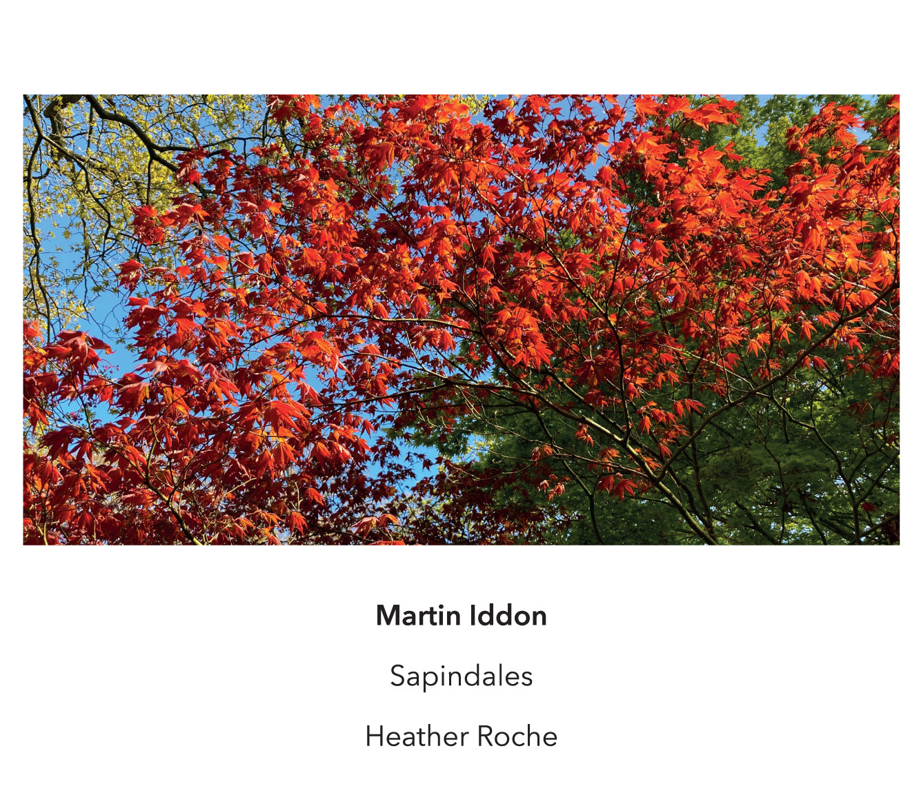Martin Iddon