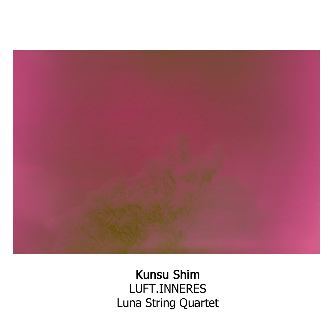 Kunsu Shim
