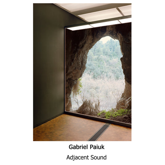 Gabriel Paiuk