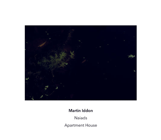 Martin Iddon