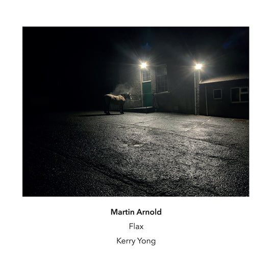 Martin Arnold