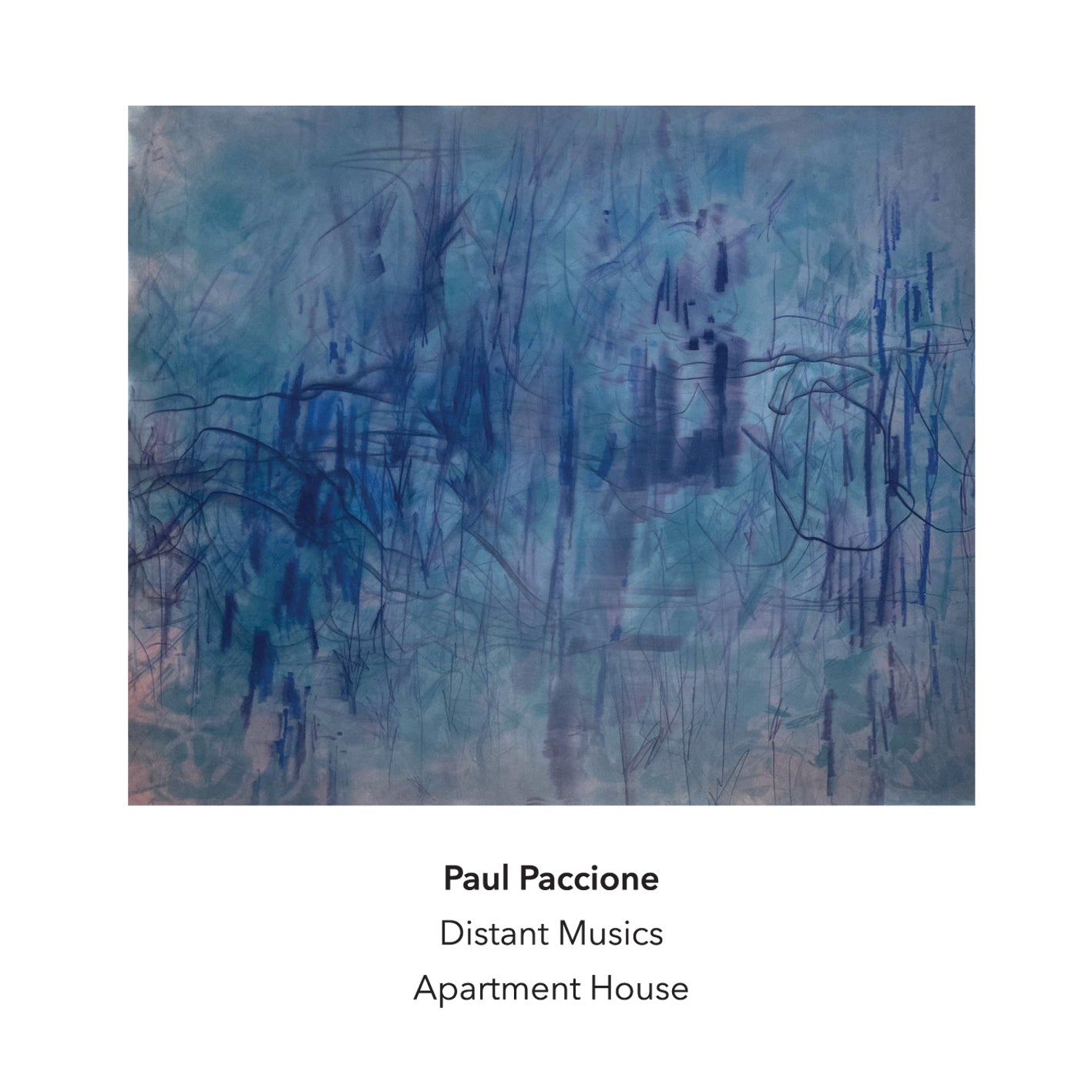Paul Paccione