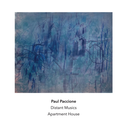 Paul Paccione
