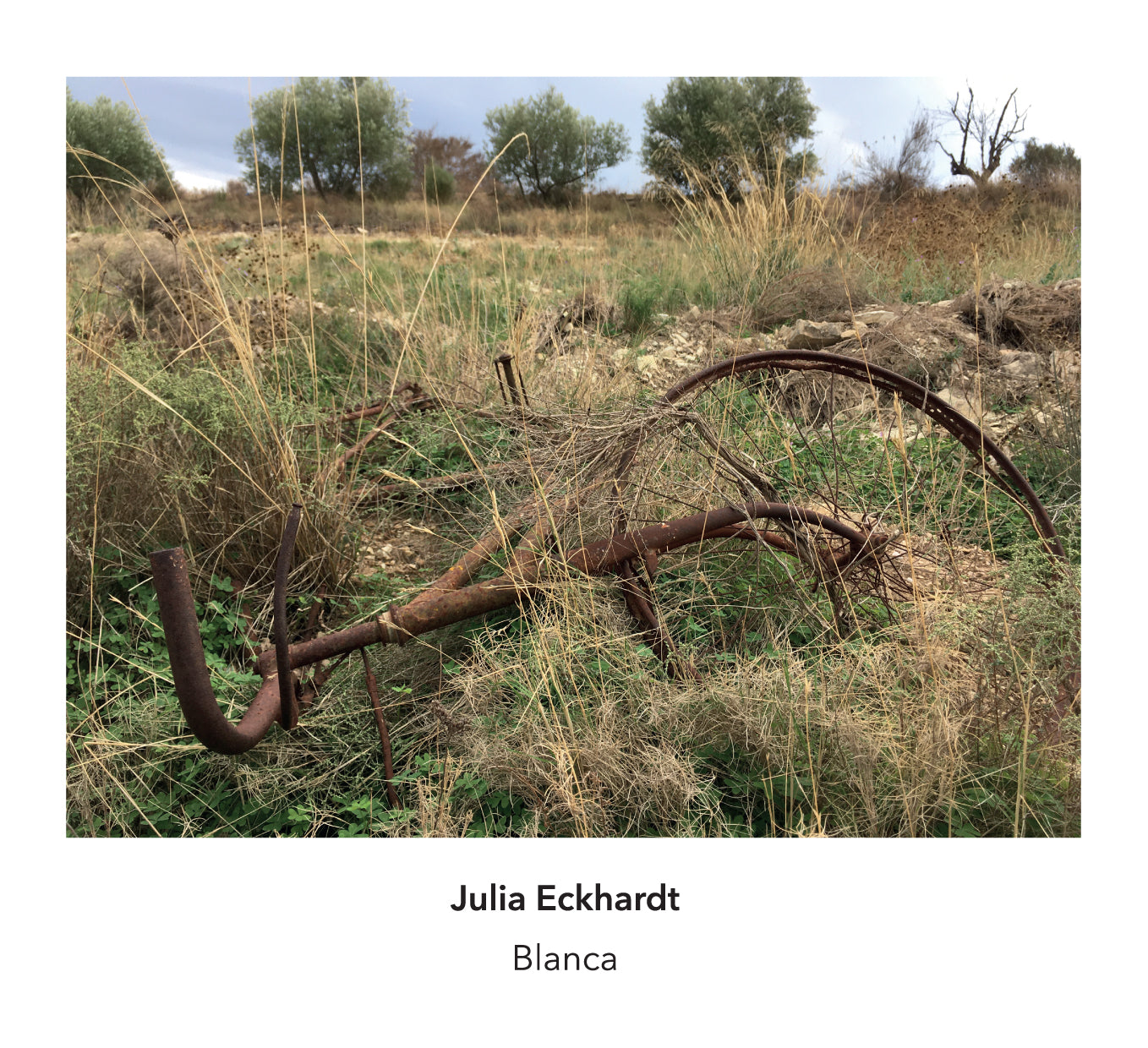 Julia Eckhardt